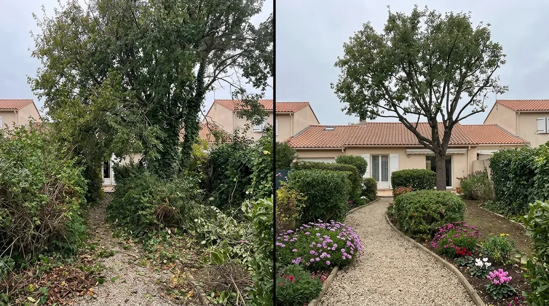 Résultat élagage à La Rochelle — Elagage La Rochelle